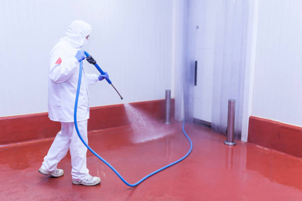 Best Roof Washing  in Daphne, AL